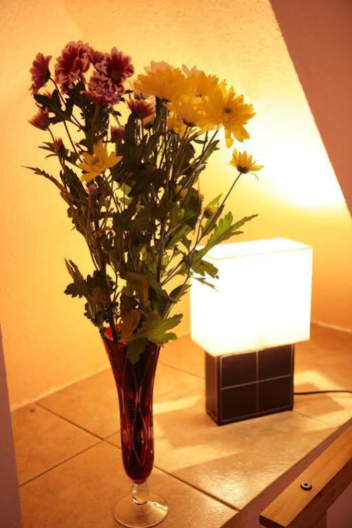 Guest house Hotel-pension Adamshof 2*